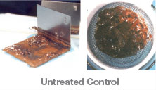 A diesel fuel sample, untreated, showing sludge and discolouration